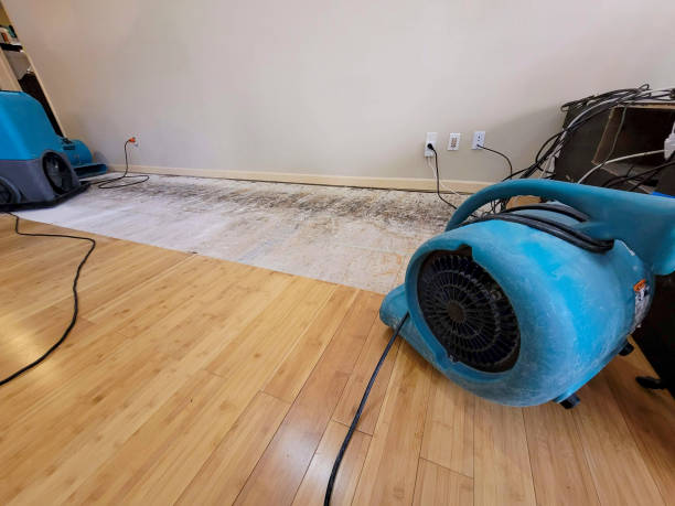 Professional Water Removal technician working in Kensal, ND